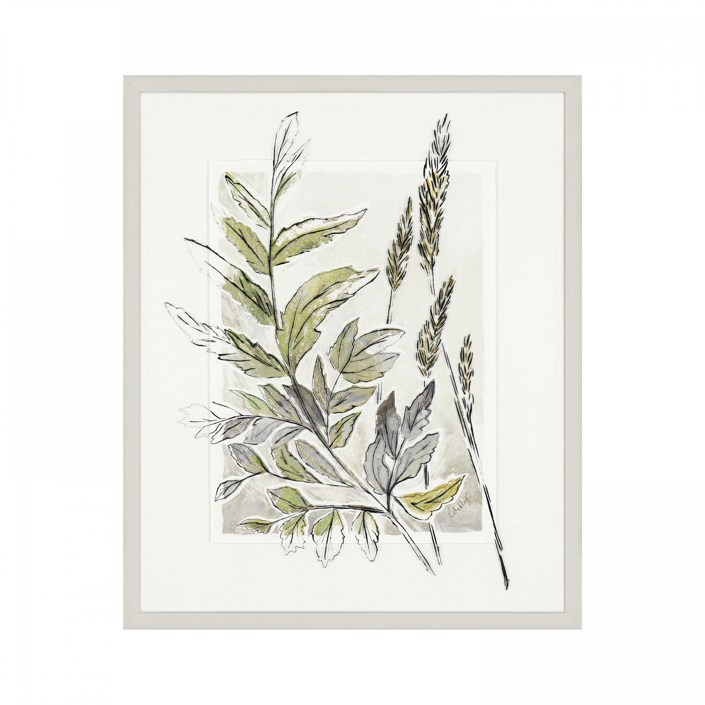Royal Fern Picture